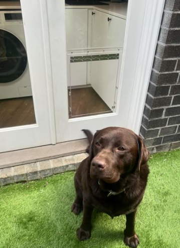 Pet Doors Australia online