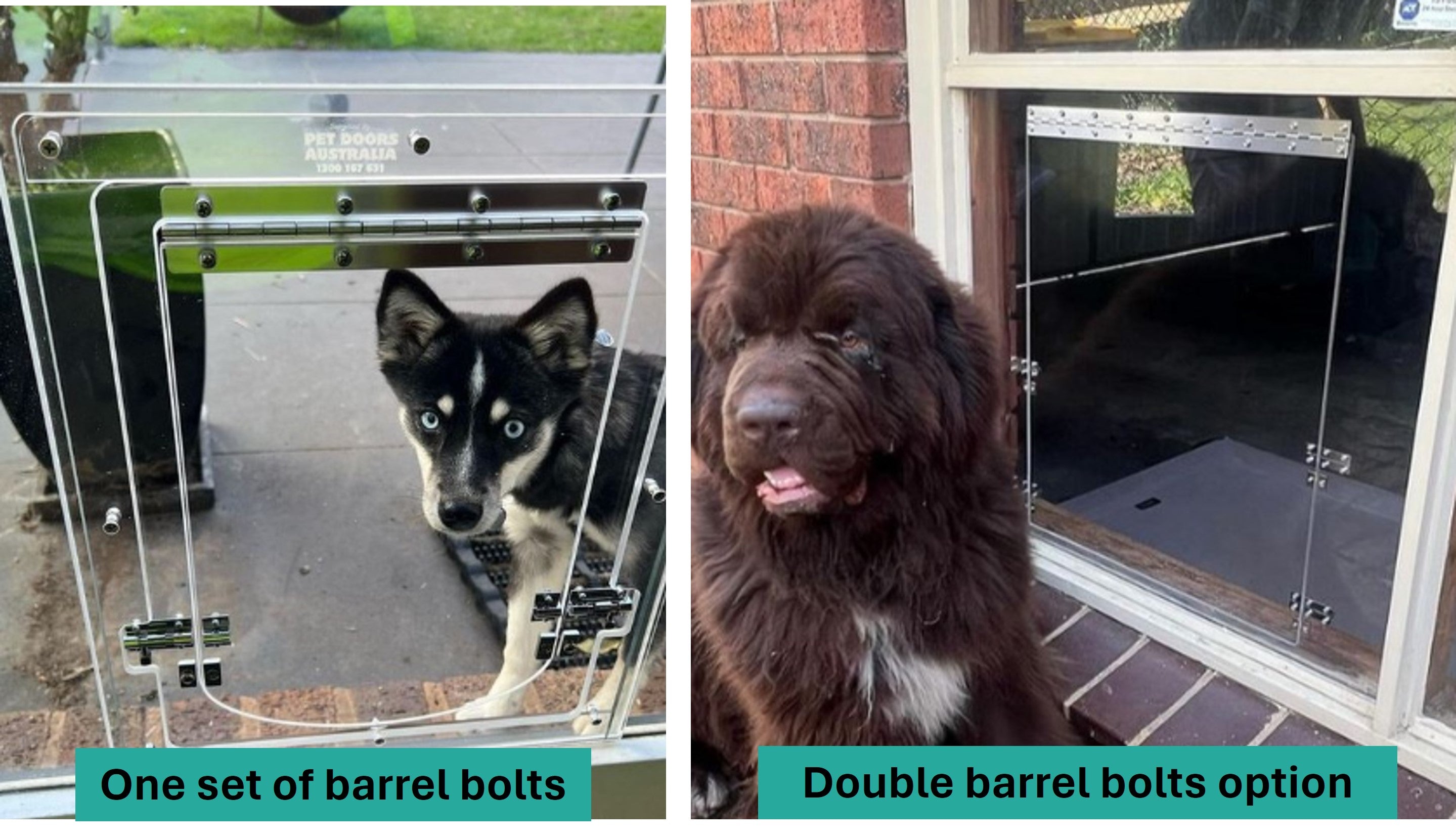 Pet Doors Australia online