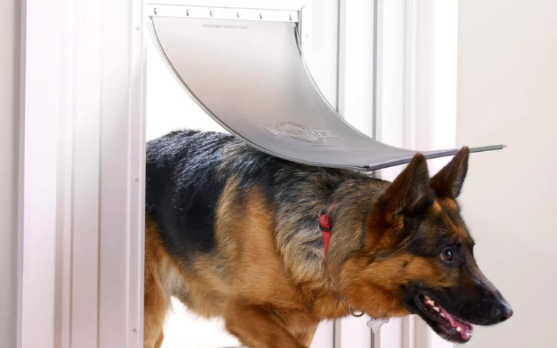 Pet Doors Australia online