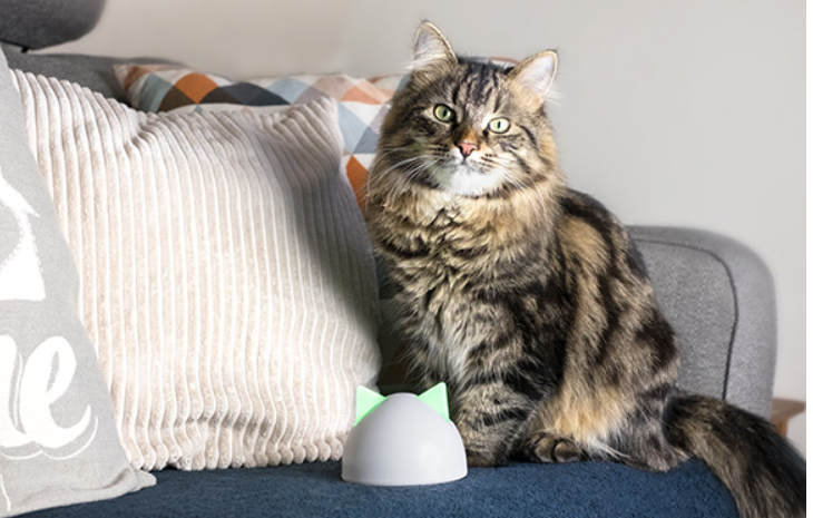 SureFlap Microchip Pet Door Large Connect Pet Doors Australia