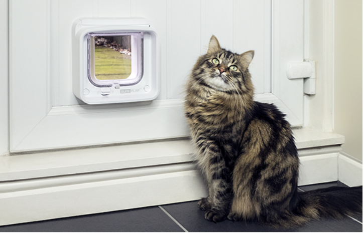 Pet Doors Australia online