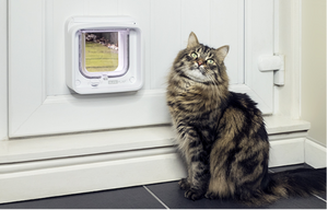 SureFlap Microchip Pet Door Large Connect Pet Doors Australia