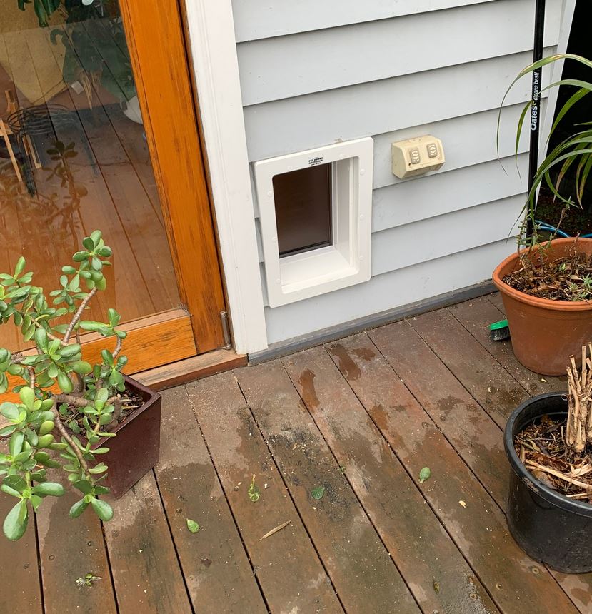 Pet Doors Australia online